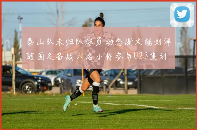 泰山队未归队球员动态谢文能刘洋随国足备战六名小将参与U23集训